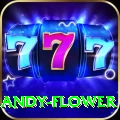 andy flower Deluxe v1.2.5