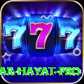 babar hayat Mega Casino App
