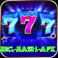 bbl big bash apk Apps (Tools & Injectors) Deluxe v2.3.0