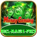 big bash Max v2.9.8