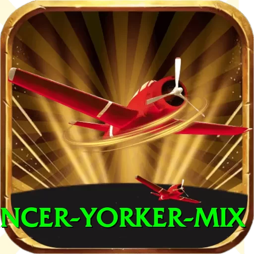 bouncer yorker mix Pro1 v5.9.3 - 2