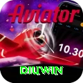 diuwin Pro Edition v5.8.8