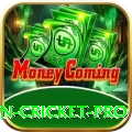fastest ball in cricket Earn Champion v4.8.3