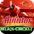 india pakistan cricket Ultimate Pro v2.9.0