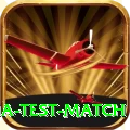 india test match Gold Edition v1.7.3