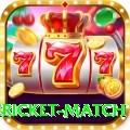 international cricket match Premium v3.9.6
