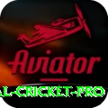 international cricket - Live Turbo