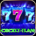 ireland cricket team Elite v3.4.5