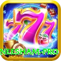james neesham Mega Jackpot
