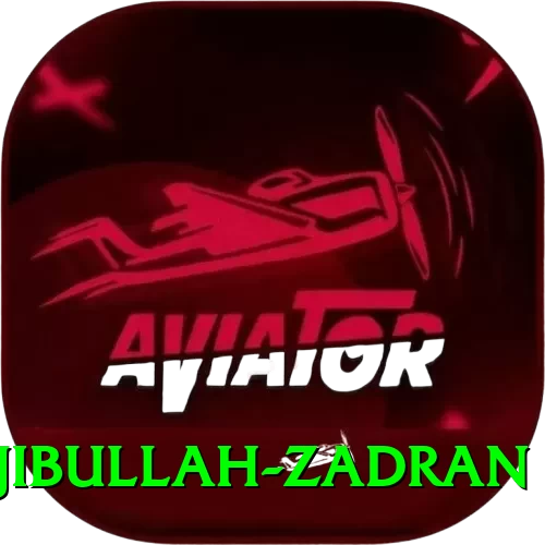 najibullah zadran Plus - 2