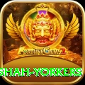 naseem shah yorkers Elite v1.8.3