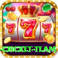 netherlands cricket team Premium v4.2.5