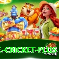 one cricket - Extreme v2.1.3