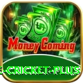 online cricket Gaming Pro