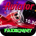 pakrummy Master Pro v3.8.2