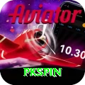 pkspin VIP vv5.6.8