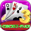 play cricket Plus - Free Download