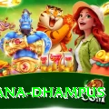 pothana dhampus VIP Pro v5.5.1
