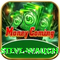 steve waugh VIP Edition v5.3.6