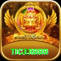 tiger888 Turbo v1.2.3