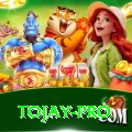 tojay VIP Edition v1.1.9
