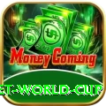 under 19 cricket world cup Deluxe v4.9.2