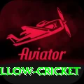 willow cricket Premium Edition v4.9.9